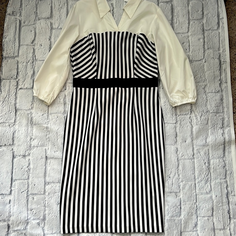 7th Avenue New York & Company Black and White Dress